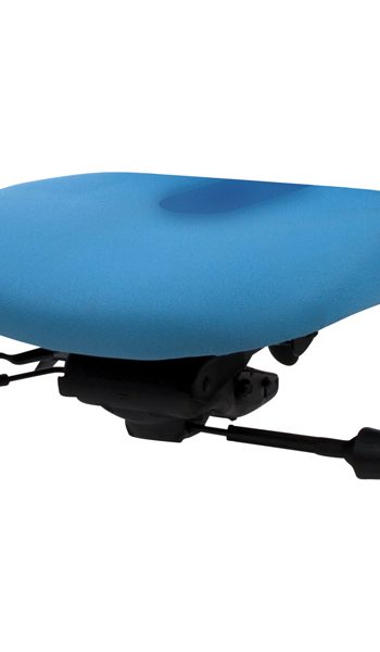 Coccyx Comfort