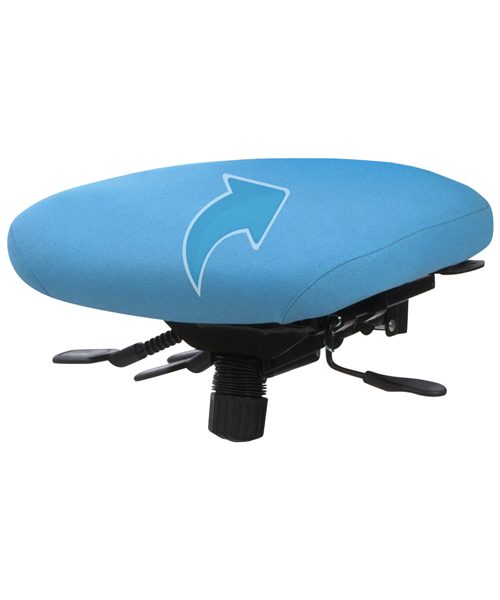 Restricted Mechanism